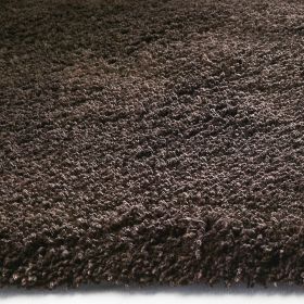 5' X 7' Espresso Indoor Shag Rug