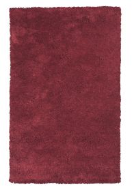 2' X 4' Red Indoor Shag Rug