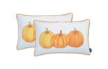 Set Of 2 20" Thanksgiving Pumpkin Throw Pillow Cover In Multicolor
