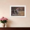 A Mother Love Horses 1 White Framed Print Wall Art