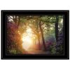 Color Overdose 2 Black Framed Print Wall Art