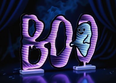 BOO/Ghost Ekkolight 23.5"L x 16"H Acrylic UL Plug