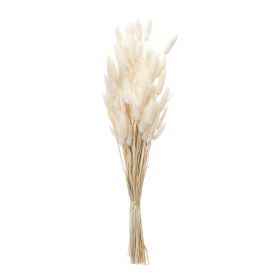 Bunny Tail Bundle (Set of 2) 32.5"H Natural
