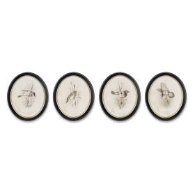 Bird Print (Set of 4) 11.75" x 13.75"H Wood/Glass