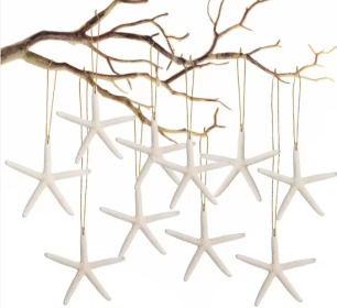 20 PCS Christmas Starfish Hanging Ornaments 3-4'' Natural Starfish With Rope