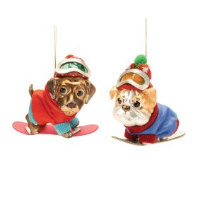 Snowboard Dog Ornament (Set of 6) 5"H, 5.5"H Glass