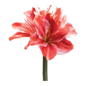 Amaryllis (Set of 6) 17.5"H Polyester