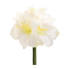Amaryllis (Set of 6) 28"H Polyester
