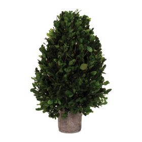 Boxwood Topiary 15.5"H Boxwood/Foam