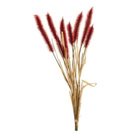 Foxtail Bundle (Set of 6) 23"H Plastic