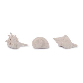 Shell (Set of 12) 2"H, 2.5"H, 3"H Resin