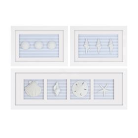 Framed Sand Dollar and Shells Print (Set of 3) 13"L x 9"H, 26.5"L x 9"H Plastic/Resin