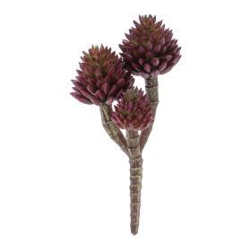 Succulent (Set of 6) 7.5"H Plastic