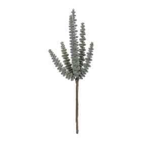 Succulent (Set of 6) 11"H Plastic